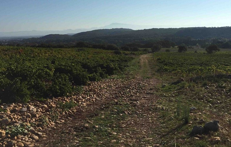 Parcours VTT La Montagne de Lirac