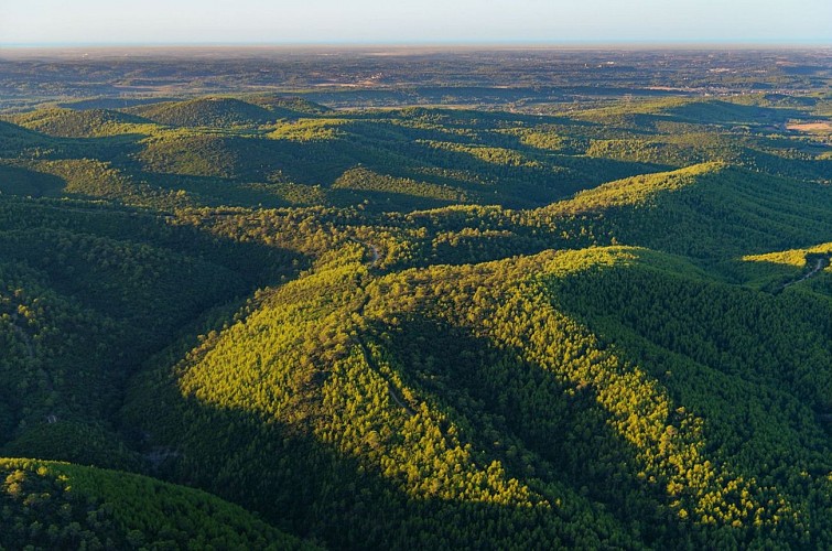 Parcours VTT Le Bois des Lens.