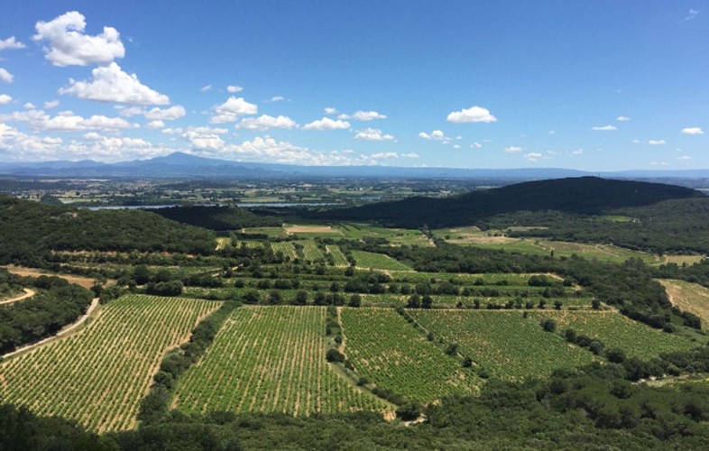 Parcours VTT Le Château de Gicon