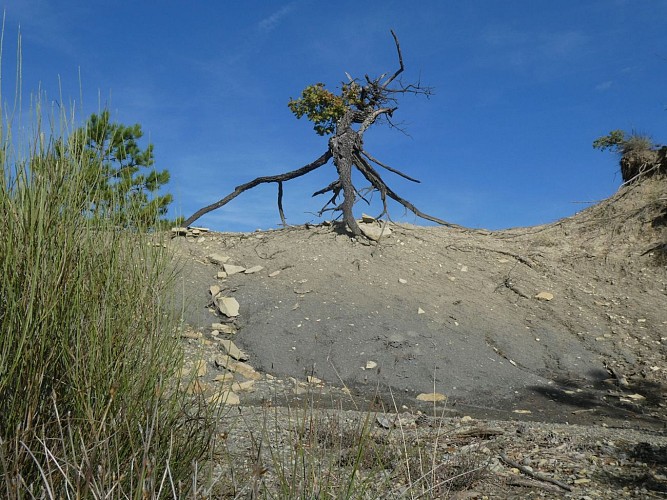 Parcours VTT Le Plateau de Lussan