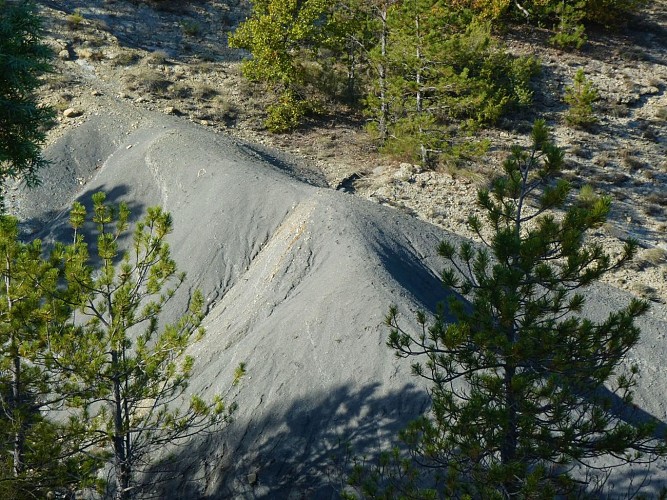 Parcours VTT Le Plateau de Lussan