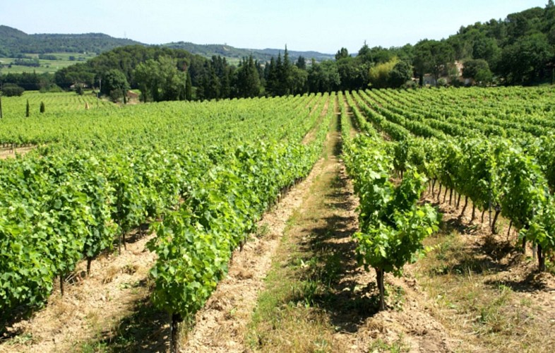 Randonnée Les Collines Rhodaniennes