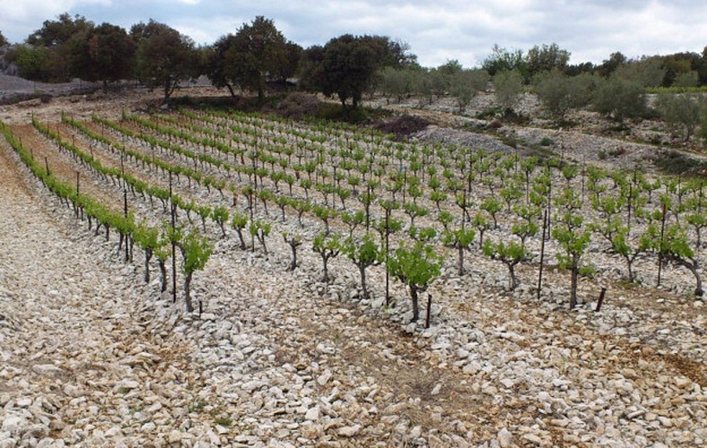 Parcours VTT Les Gorges de l'Ardèche