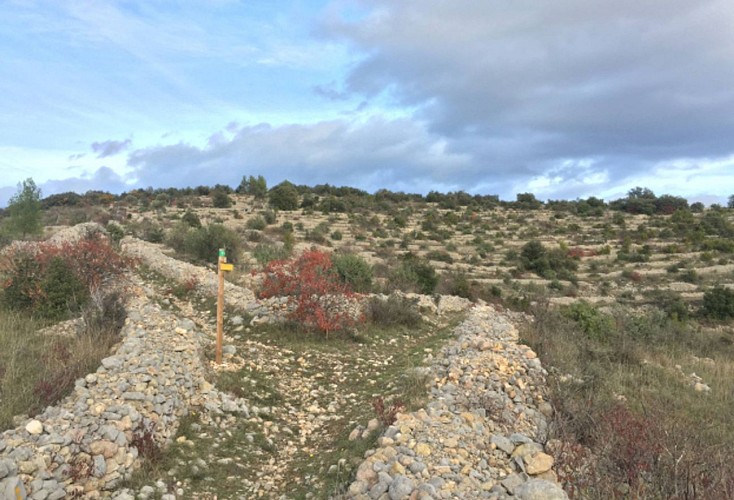 Balade Les Méandres de la Cèze