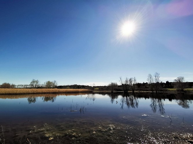 Balade L'étang de la Capelle Masmolène