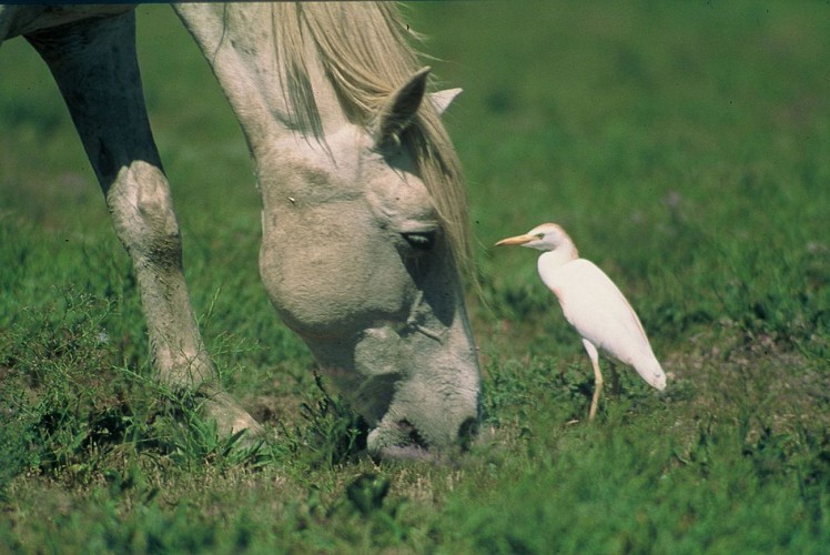 Parcours VTT Sentier des Carrières de Junas