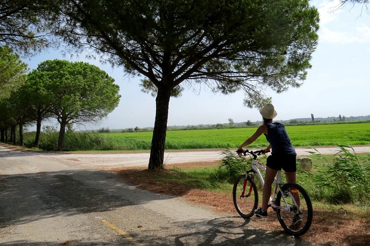 Parcours VTT Sentier des Carrières de Junas
