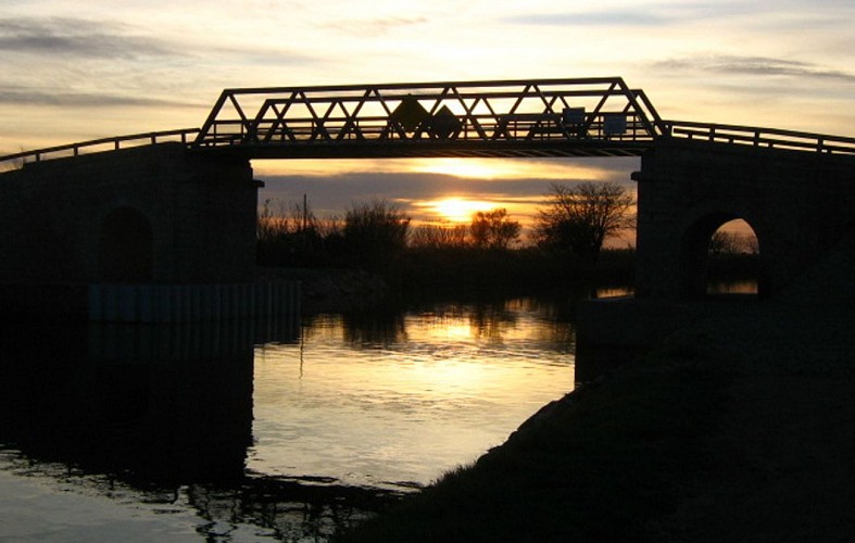 Parcours VTT Terre de Camargue