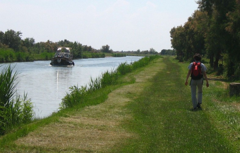 Parcours VTT Terre de Camargue