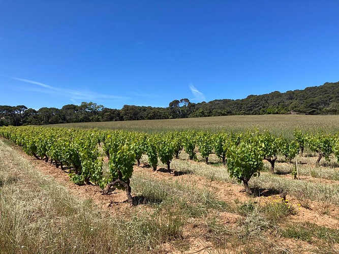 Randonnée Le Camp de César
