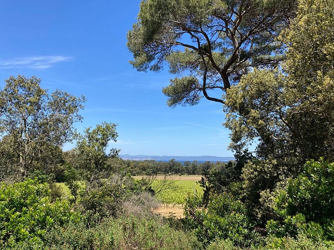 Randonnée Le Camp de César