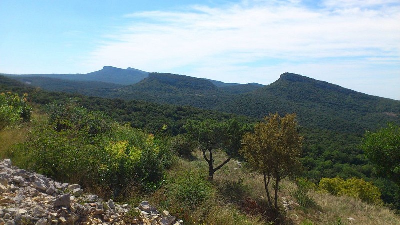Randonnée Le Château d'Allègre