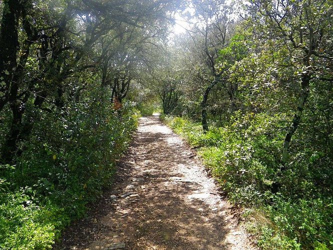 Randonnée Le Rocher de Castelviel