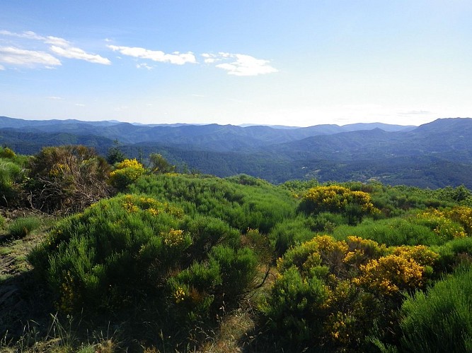 Randonnée Les Drailles perdues