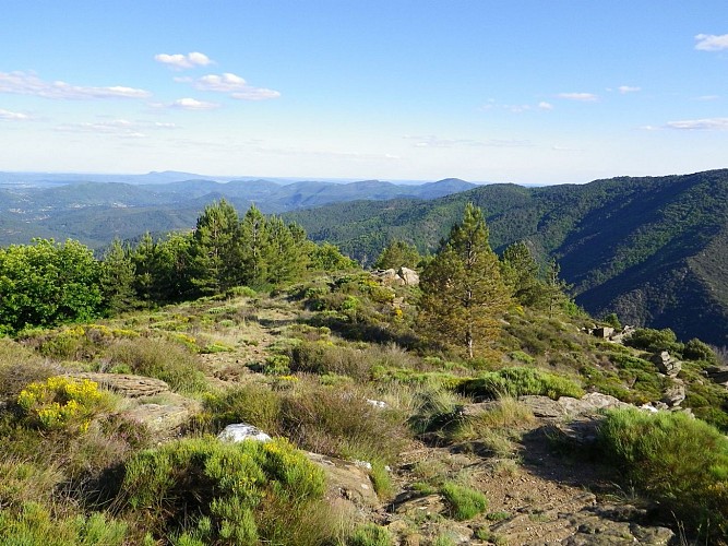 Randonnée Les Drailles perdues