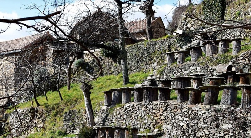 Sentiers de la Cézarenque