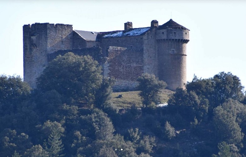 Château d'Aujac