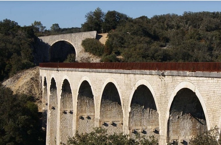 Sentier autour de la vigne