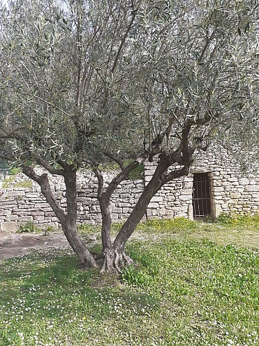 Sentier de randonnée