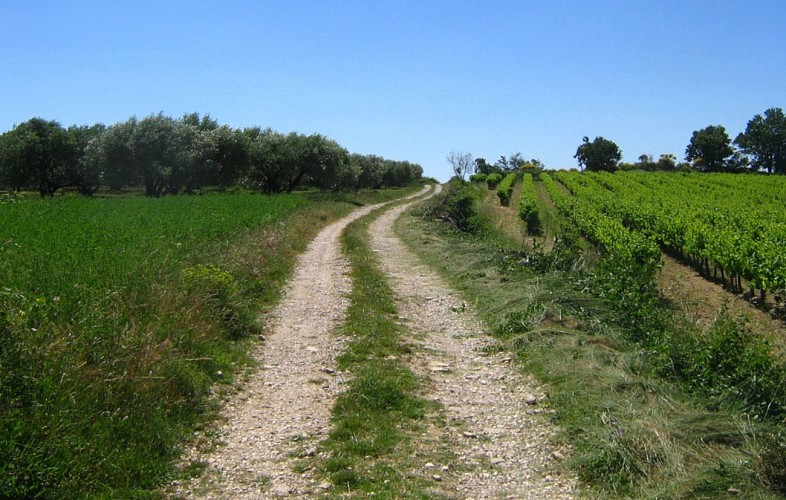 Parcours VTT La Droude