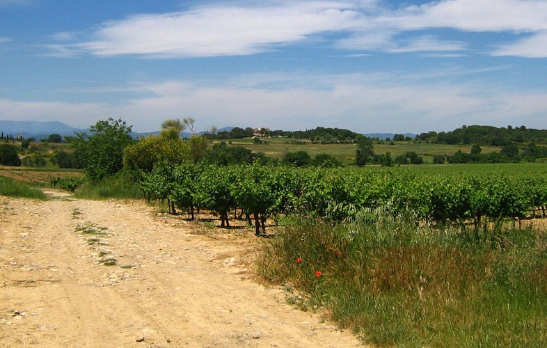 Parcours VTT La Droude