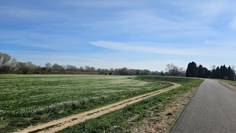 Voie verte Beaucaire Fourques
