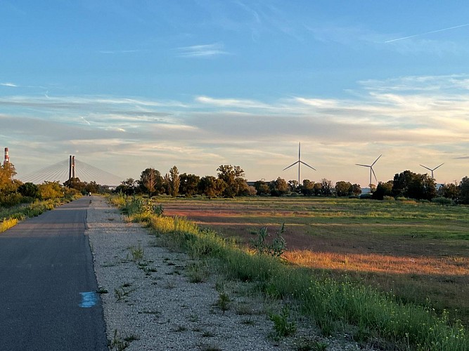 Voie verte Beaucaire Fourques