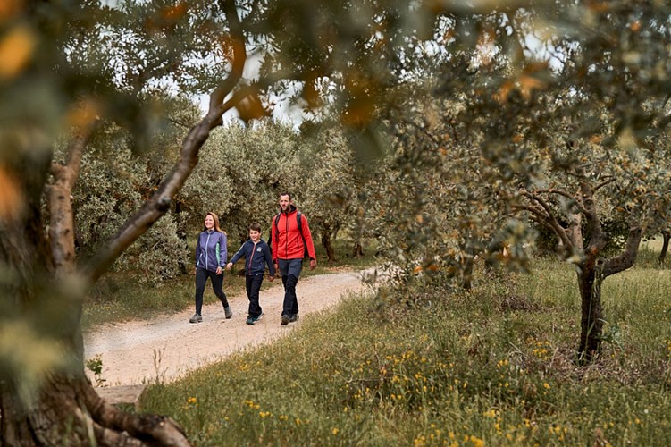 Parcours VTT les deux forêts