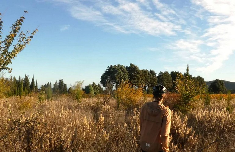 Boucle cyclo-découverte Les Anciens Etangs