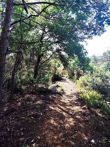 Sentier d'interpretation des ocres_Saint-Laurent-la-Vernède