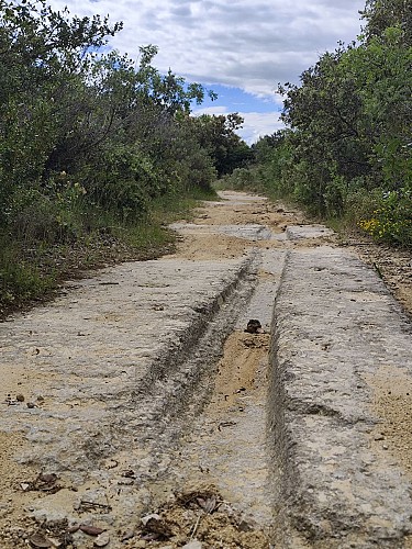 Sendero de interpretación de la piedra