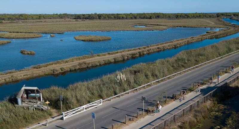 Voie verte de L'Espiguette