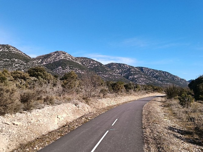 Voie verte Saint Hippolyte du Fort Ganges