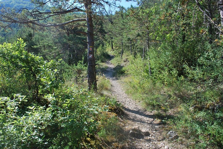 Balade Oppidum de Nages