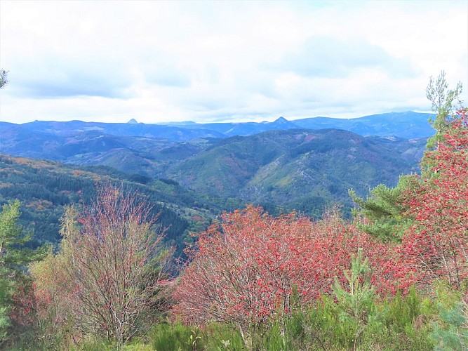 Parcours VTT Les Plages