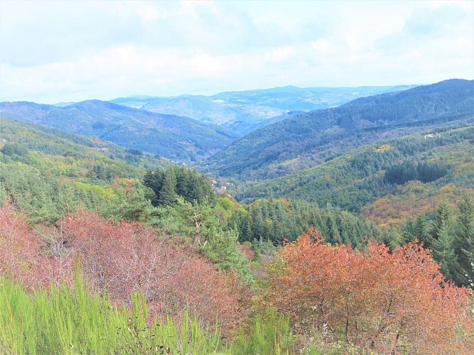 Parcours VTT Les Plages
