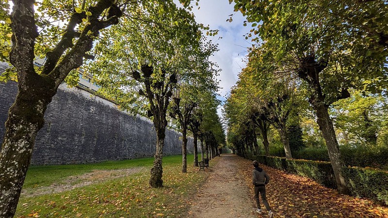 Promenade de la Citadelle II