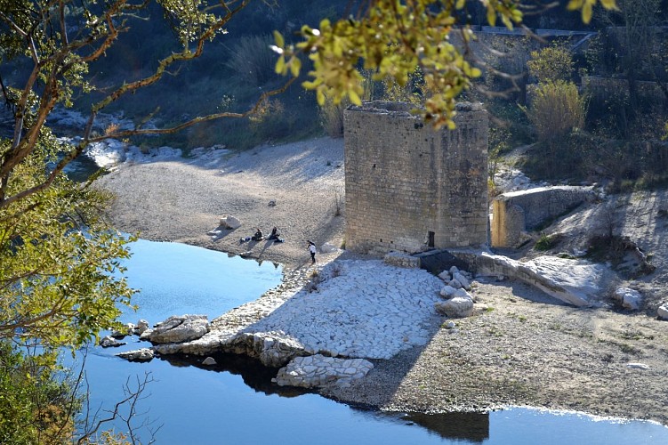 Au coeur des Gorges du Gardon