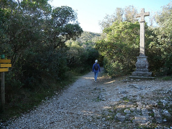 The Collias hermitage