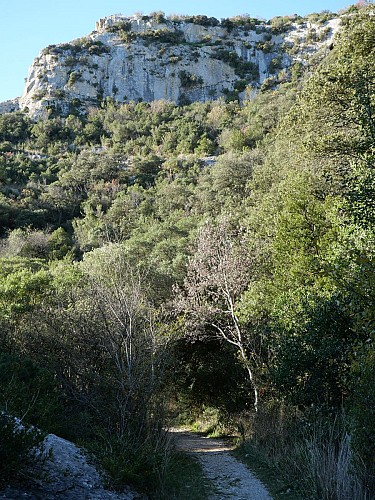 The Collias hermitage