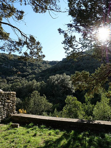 L'ermitage de collias