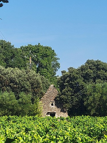 Le sentier des Capitelles de Blauzac_Blauzac