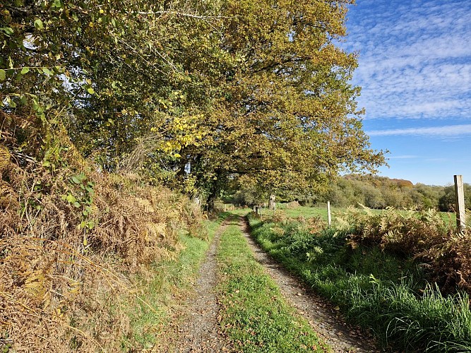 Sentiers - pont des farges et de chanterane - Troche © JL (11)