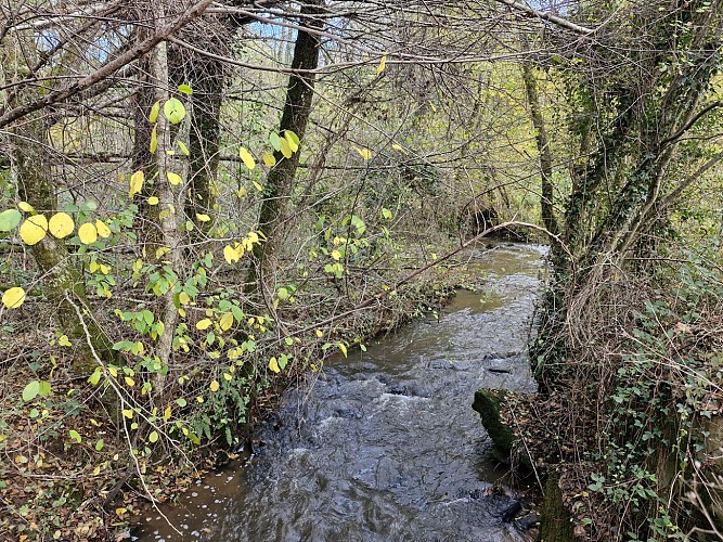 Ruisseau le Gavassou - pont des farges et de chanterane - trcohe © JL (9)