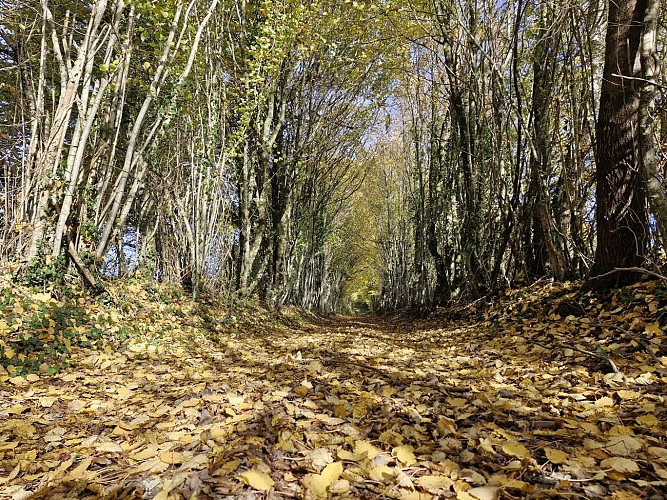 Sentiers - pont des farges et de chanterane - Troche © JL (3)