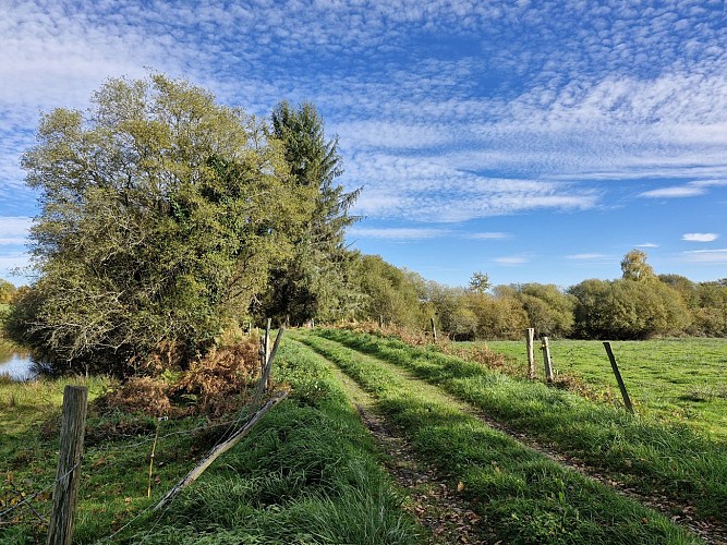 Sentiers - pont des farges et de chanterane - Troche © JL (13)