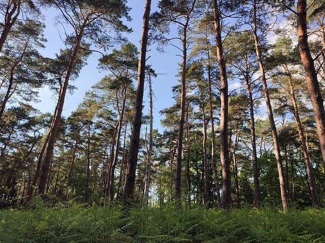 Promenade des moines