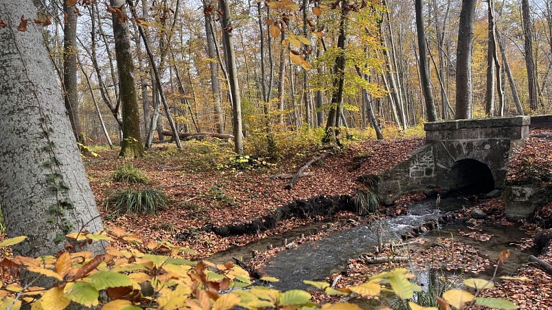 Promenade des Moines