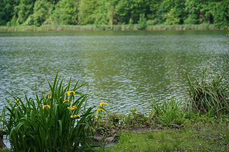 Étangs Saint-Pierre