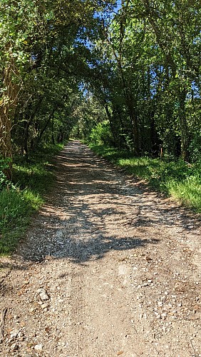 Chemin des Chaumes circuit